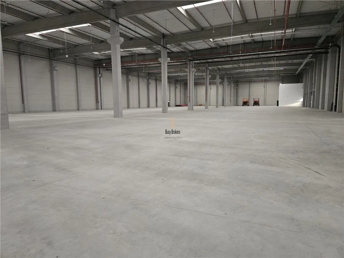 Spatiu Industrial - 9500 mp - Logistica - Depozitare - Distributie - foto 4