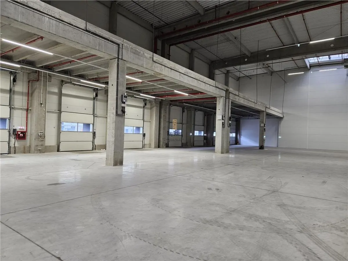 Spatiu Industrial - 5300 mp - Logistica - Productie - Depozitare - Distributie - foto 17
