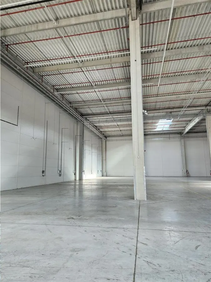 Spatiu Industrial - 5300 mp - Logistica - Productie - Depozitare - Distributie - foto 4