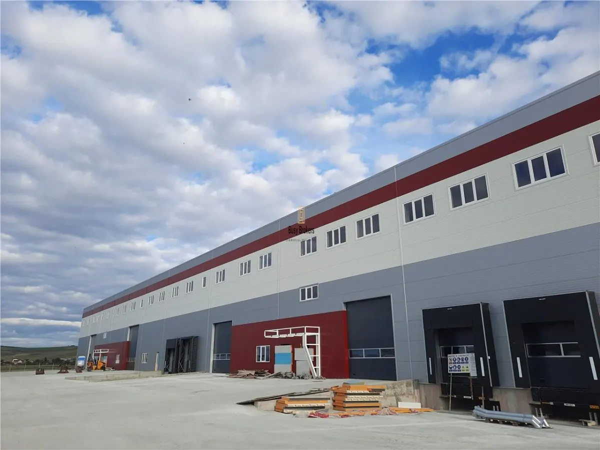 Spatiu Industrial - 3000 mp - Logistica - Productie - Depozitare - Distributie - foto 5