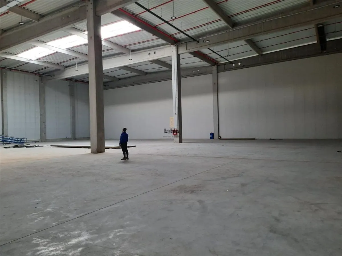 Spatiu Industrial - 7500 mp - Logistica - Productie - Depozitare - Distributie - foto 16