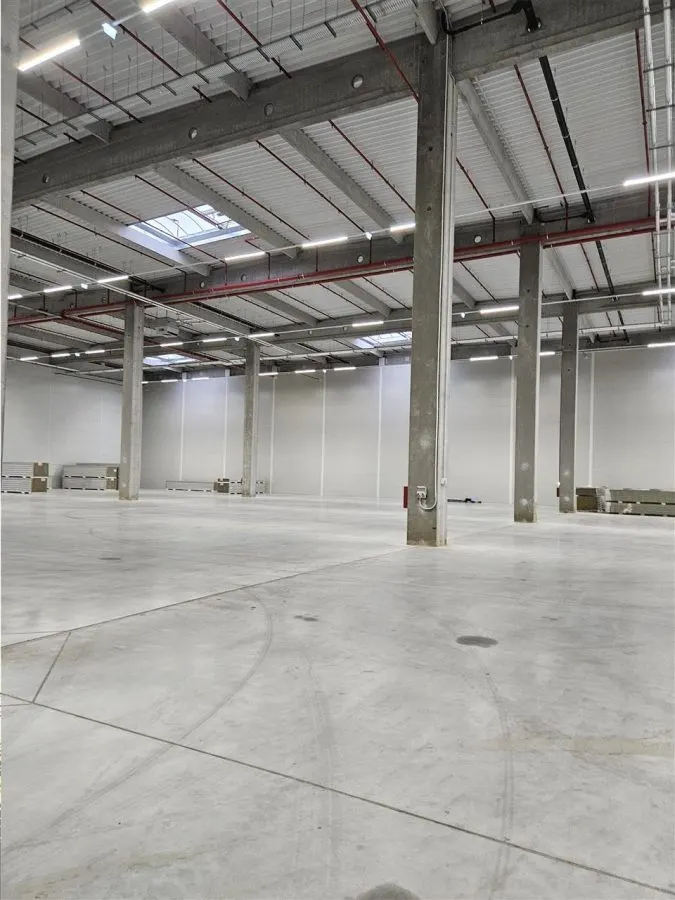 Spatiu Industrial - 7500 mp - Logistica - Productie - Depozitare - Distributie - foto 4