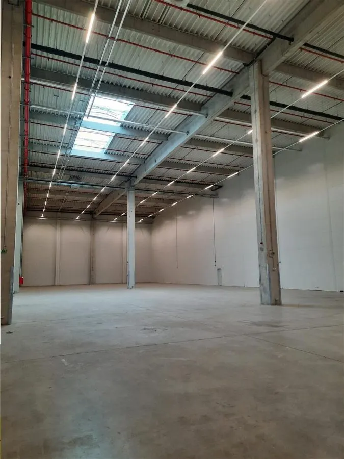 Spatiu Industrial - 7500 mp - Logistica - Productie - Depozitare - Distributie - foto 9