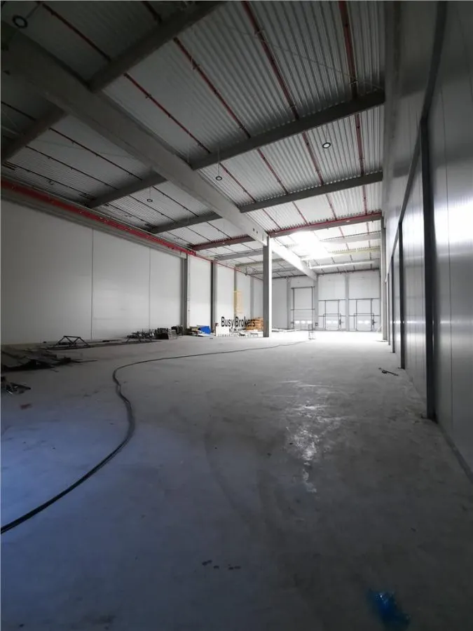 Spatiu Industrial - 7500 mp - Logistica - Productie - Depozitare - Distributie - foto 10