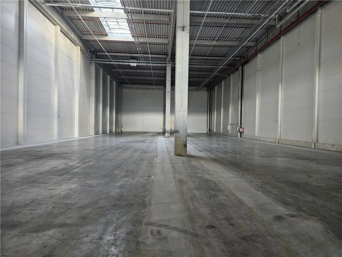 Spatiu Industrial - 5500 mp - Logistica - Productie - Depozitare - Distributie - foto 11