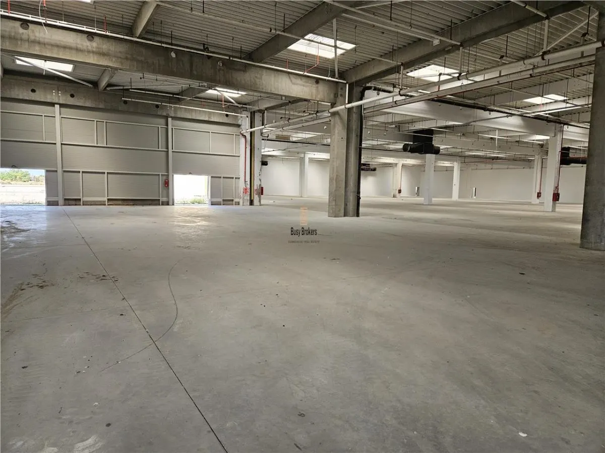 Spatiu Industrial - 9500 mp - Logistica - Productie - Depozitare - Distributie - foto 15