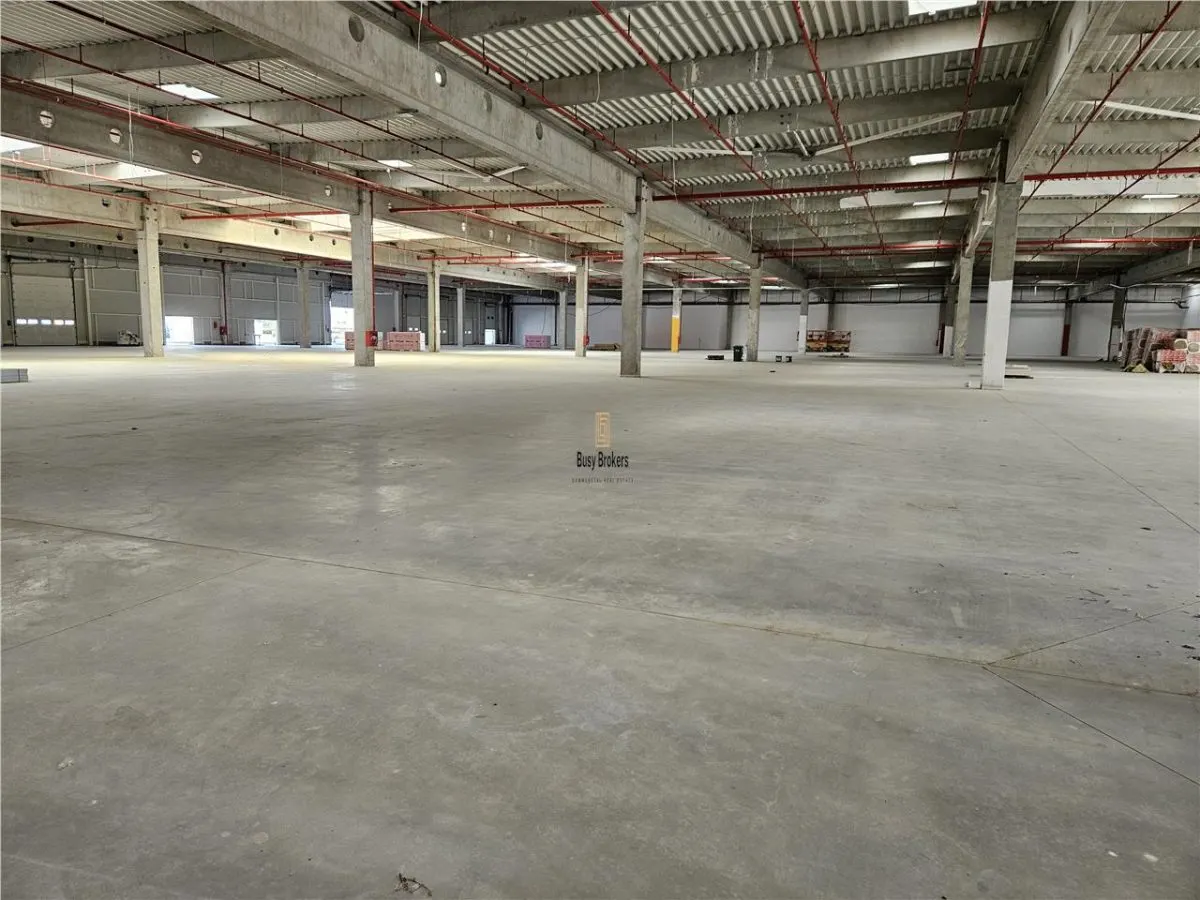 Spatiu Industrial - 7000 mp - Logistica - Productie - Depozitare - Distributie - foto 20