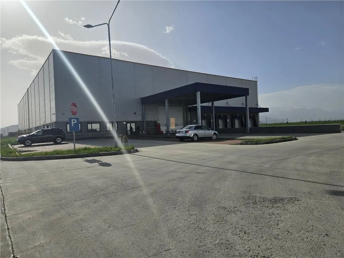 Spatii Industriale - 15000 mp - Logistica - Depozitare - Productie - foto 18