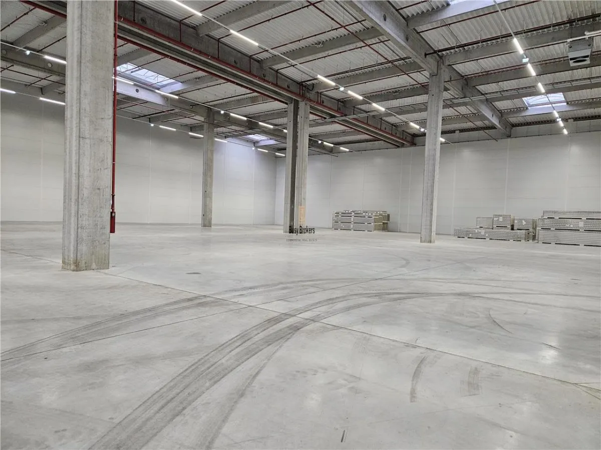 Spatiu Industrial - 4000 mp - Logistica - Productie - Depozitare - Distributie - foto 7