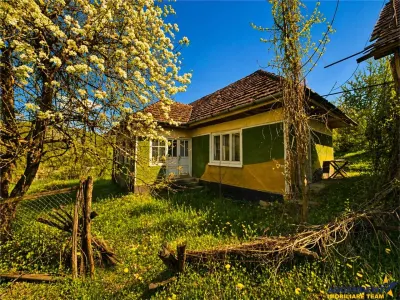 Domeniu de 3.400 mp cu traditionala casa, Suveica, Acatari Mures - foto 10