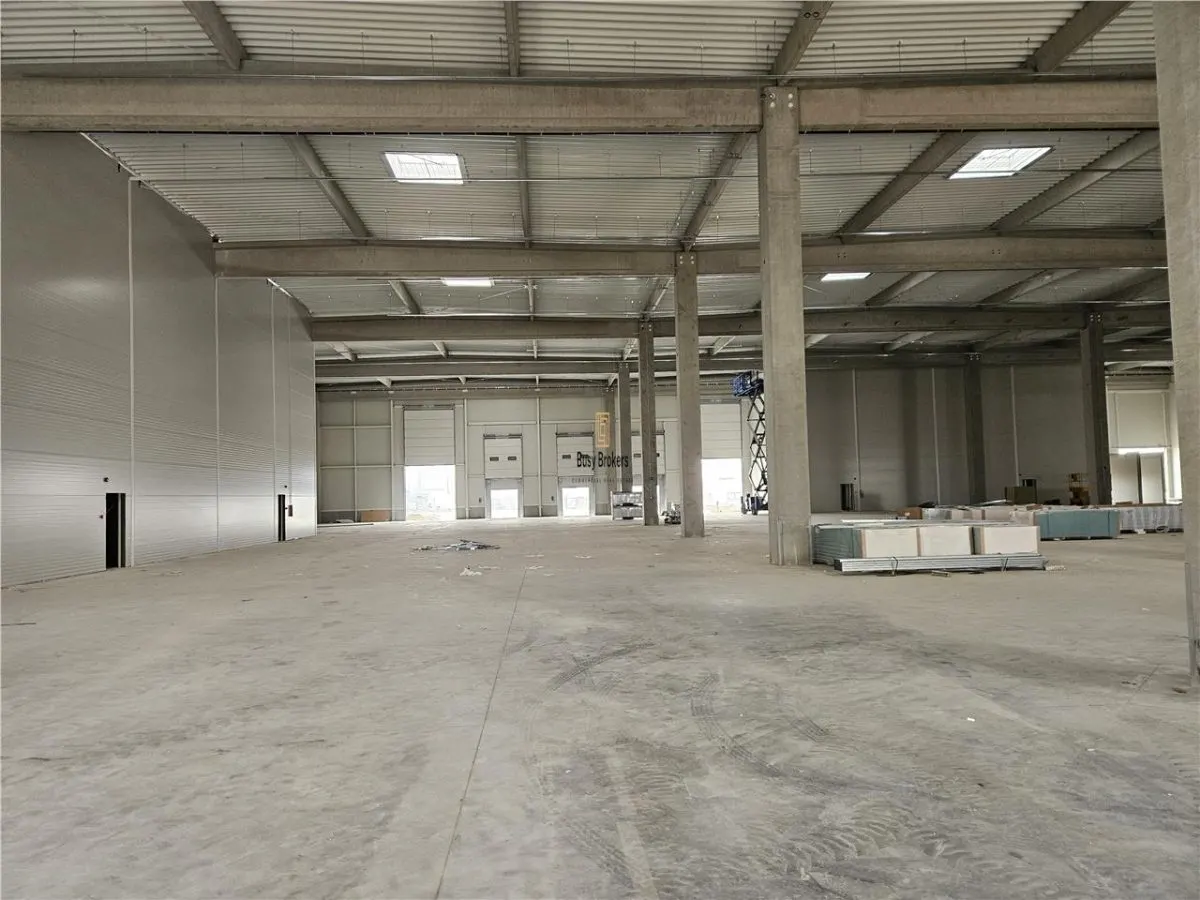 Spatiu Industrial - 5300 mp - Productie - Depozitare - Logistica - Distributie - foto 3