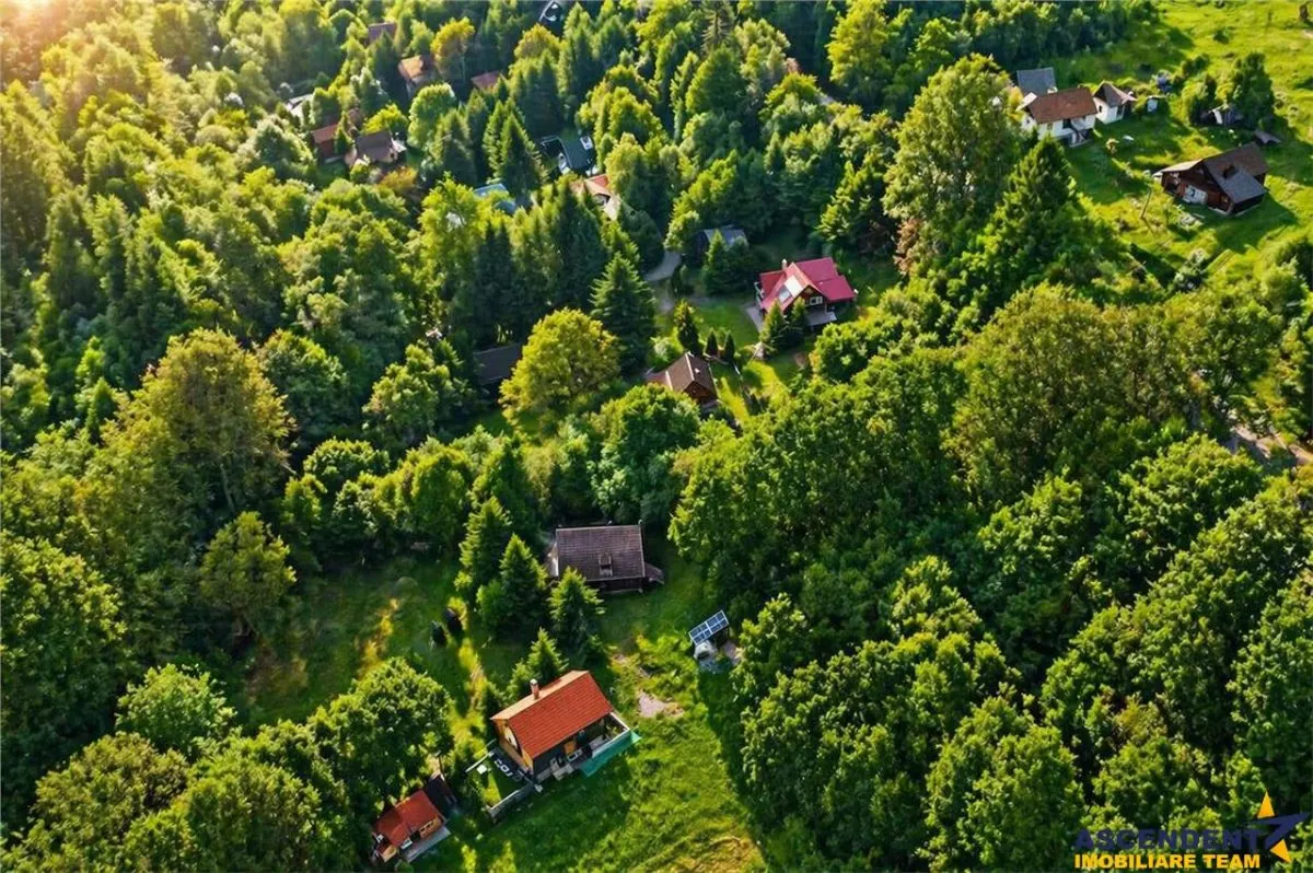 Casa/ Cabana+2.000 mp teren in miracolul naturii autentice,Bucin(Praid), Harghita. - foto 1