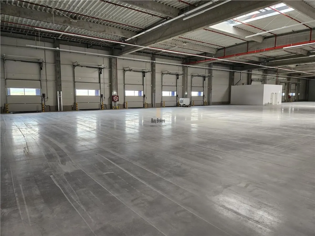 Spatiu Industrial - 4300 mp - Logistica - Productie - Depozitare - Distributie - foto 9