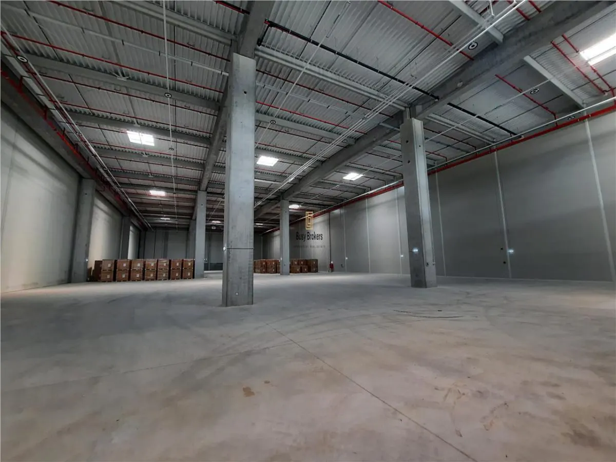 Spatiu Industrial - 5000 mp - Logistica - Productie - Depozitare - Distributie - foto 1