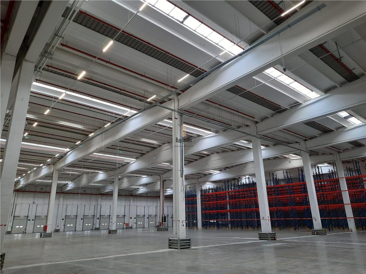 Spatiu Industrial - 5000 mp - Logistica - Depozitare - Distributie - foto 25