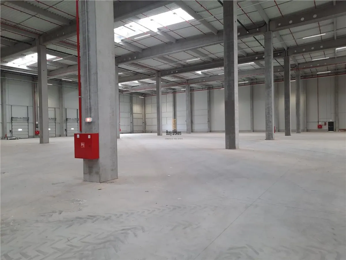 Spatiu Industrial - 4500 mp - Logistica - Productie - Depozitare - Distributie - foto 16