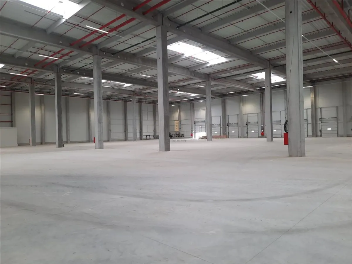 Spatiu Industrial - 4500 mp - Logistica - Productie - Depozitare - Distributie - foto 17