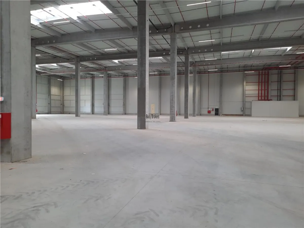 Spatiu Industrial - 3500 mp - Logistica - Productie - Depozitare - Distributie - foto 8