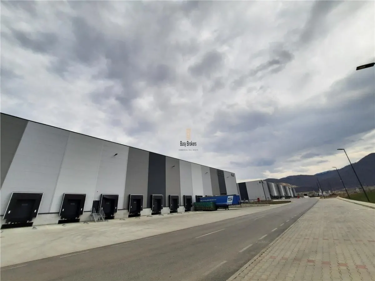 Spatiu Industrial - 6200 mp - Logistica - Productie - Depozitare - Distributie - foto 16