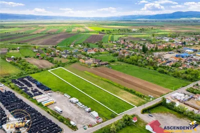FILM! 5.000 mp teren, la marginea orasului Targu Secuiesc, aria industriala - Targu Secuiesc