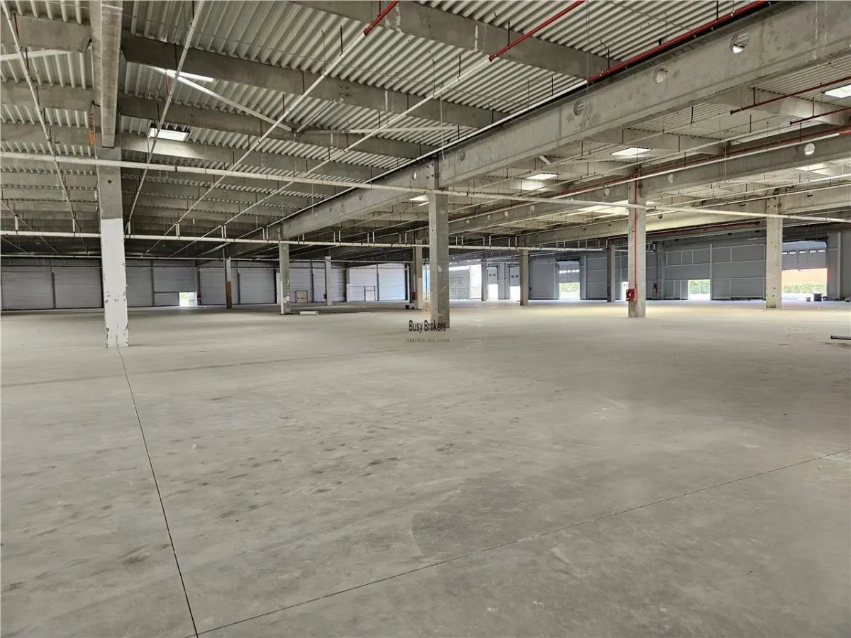Spatiu Industrial - 6000 mp - Productie - Depozitare - Distributie - foto 13