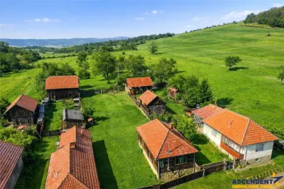 Film! Casa din lemn,cu doua camere, pe domeniu de 2.819 mp, Mereni, Covasna - Mereni