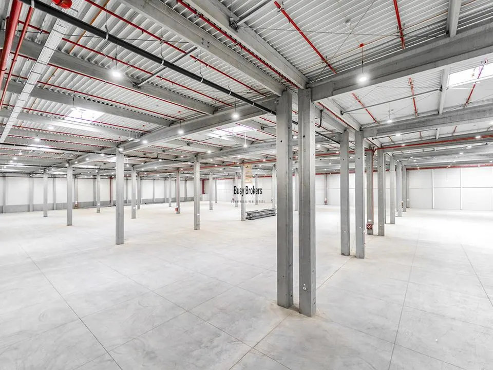 Spatiu Industrial - 4000 mp - Logistica - Productie - Depozitare - Distributie - foto 10