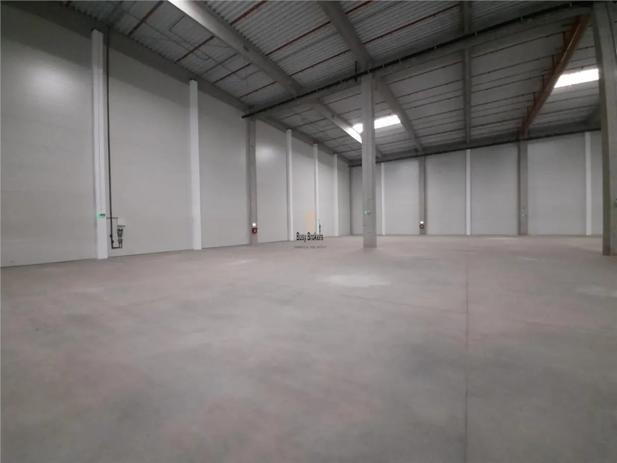 Spatiu Industrial - 4600 mp - Logistica - Productie - Depozitare - Distributie - foto 15