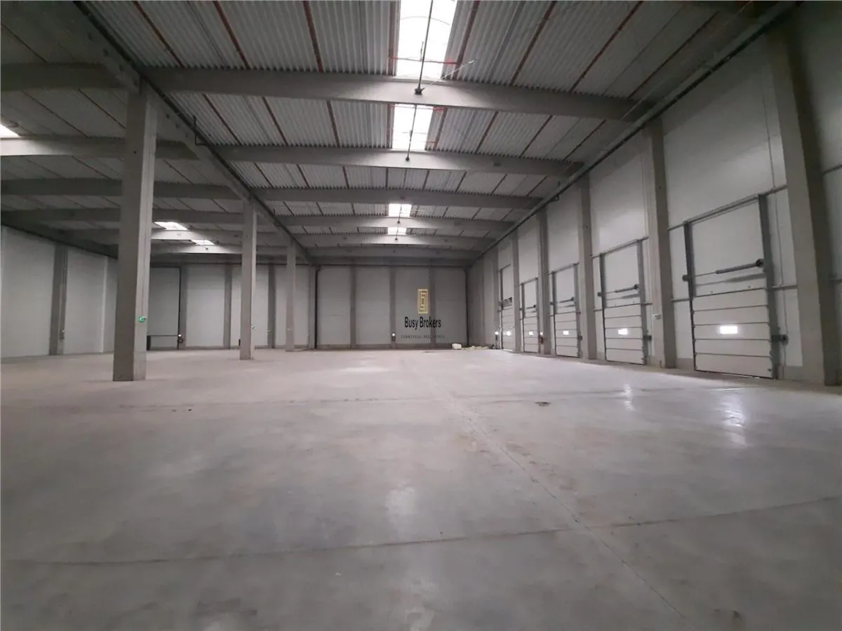 Spatiu Industrial - 4600 mp - Logistica - Productie - Depozitare - Distributie - foto 6