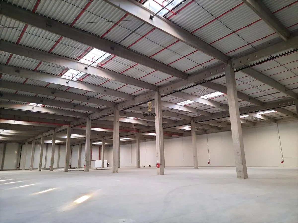 Spatiu Industrial - 4600 mp - Logistica - Productie - Depozitare - Distributie - foto 9