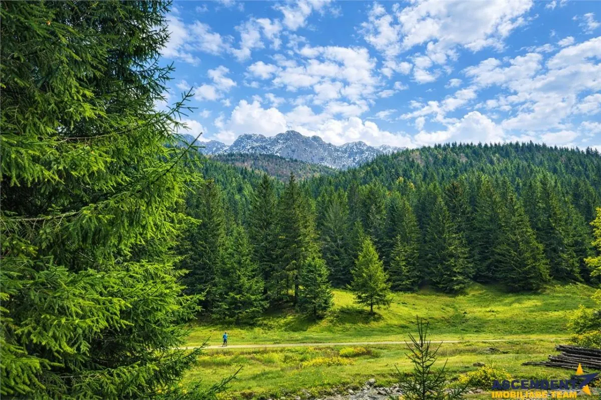 Teren intravilan panoramic 4.600 mp, view iconic Piatra Craiului, oportunitate Premium - foto 1