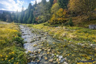 Teren intravilan panoramic 4.600 mp, view iconic Piatra Craiului, oportunitate Premium - foto 5