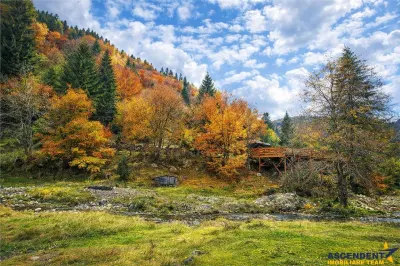 Teren intravilan panoramic 4.600 mp, view iconic Piatra Craiului, oportunitate Premium - foto 6