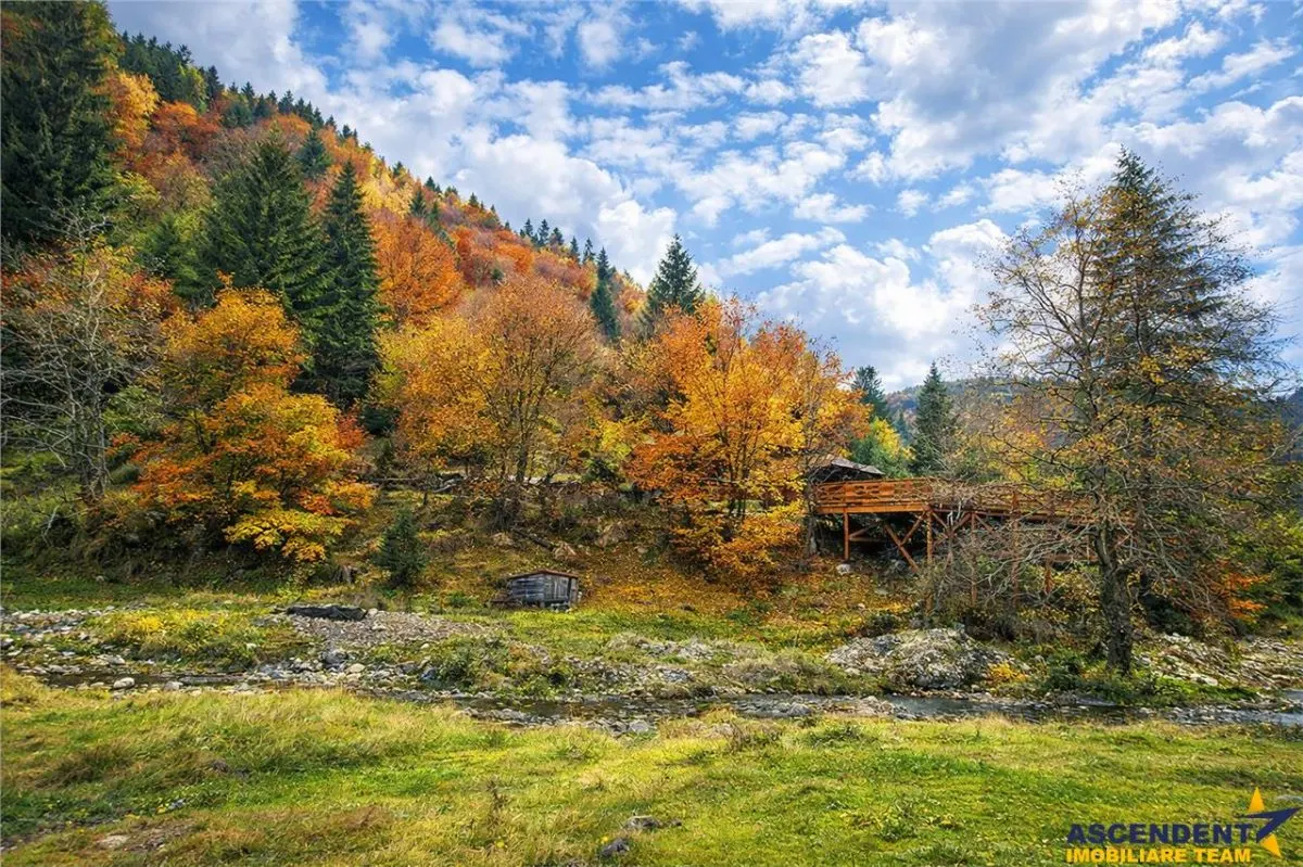 Teren intravilan panoramic 4.600 mp, view iconic Piatra Craiului, oportunitate Premium - foto 6