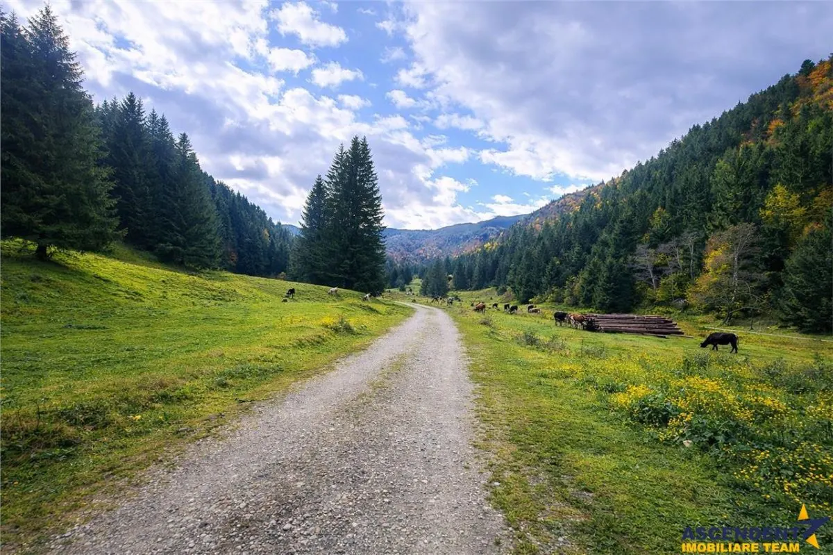 Teren intravilan panoramic 4.600 mp, view iconic Piatra Craiului, oportunitate Premium - foto 7