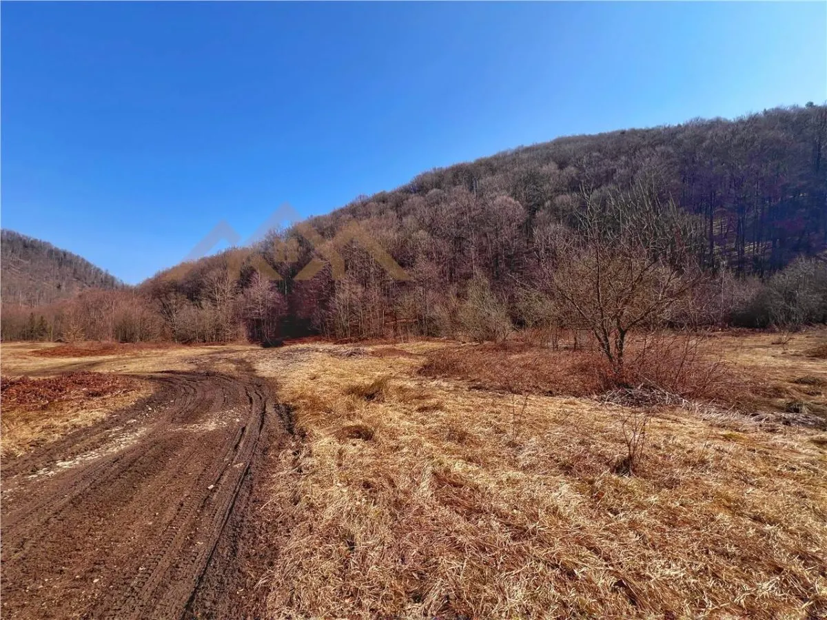 1,10 ha teren intravilan in Baita - foto 8