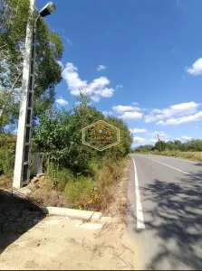 DE INCHIRIAT | Teren 5.200 mp | Acces din strada Principala (DJ 182C) | Diverse servicii - foto 6