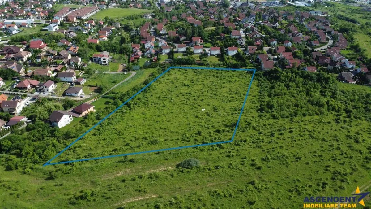 FILM! Teren pretios: 17.200 mp, recomandat investitional/dezvoltare,Livezeni,Mures. - foto 1