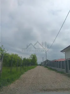 Valea Ursului aproape de padure 2 LOTURI de 600mp cu utilitati - foto 3