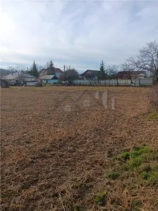 Teren 3500mp. Paun Bucium la asfalt cu toate utilitatile - Paun