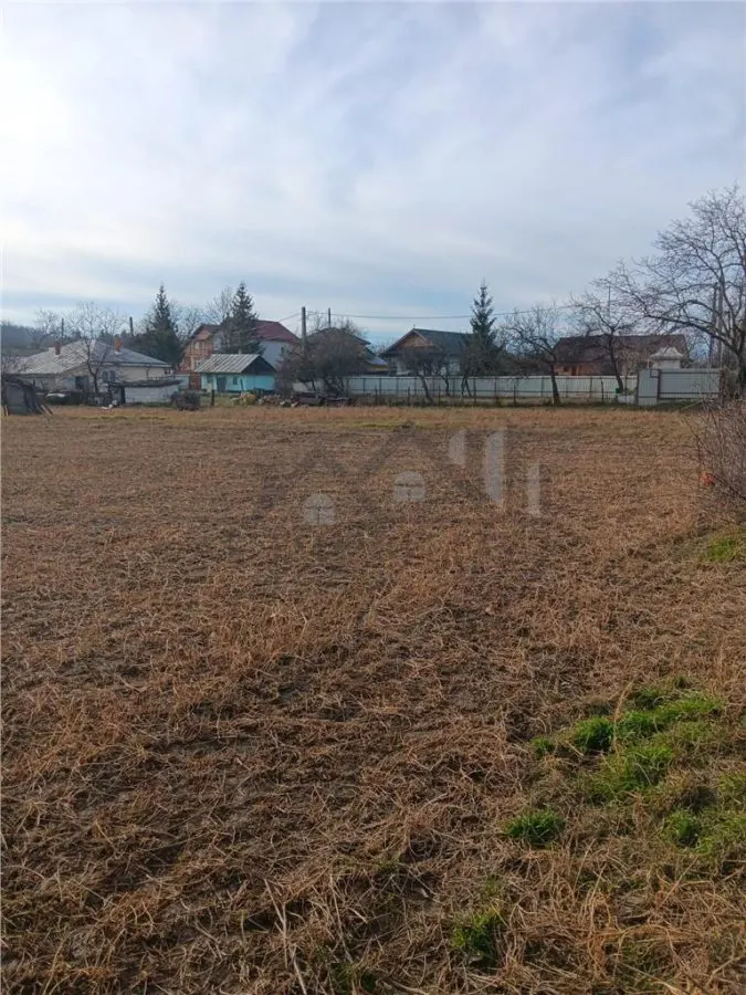 Teren 3500mp. Paun Bucium la asfalt cu toate utilitatile - foto 1