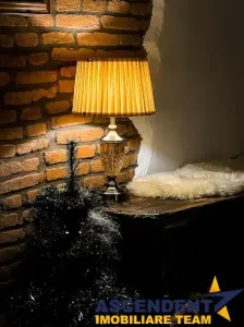 3 apartamente + transfer afacere, locuri parcare, Centrul Istoric, Brasov - foto 19