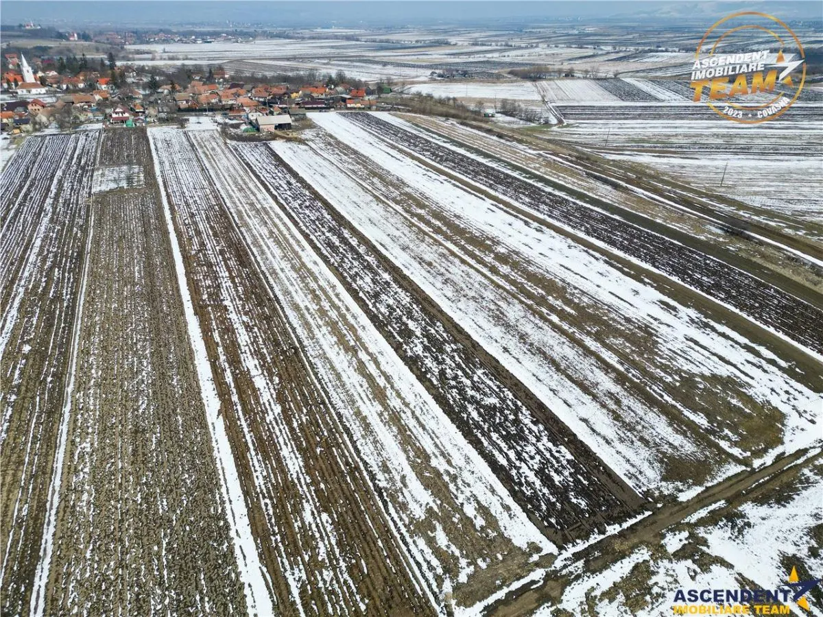 Lot construibil 6.425 mp,Dobolii de Jos, oportun:proiecte rezidentiale amplasamente imobiliare - foto 6