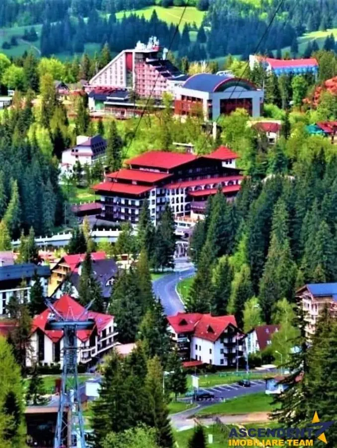 FILM!Descopera oportunitatea! Imobiliar&Transfer Business in inima statiunii Poiana Brasov, Romania - - foto 19