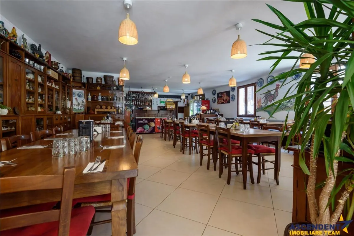 Langa Castelul Bran: Pensiune + restaurant + transfer afacere activa - foto 2