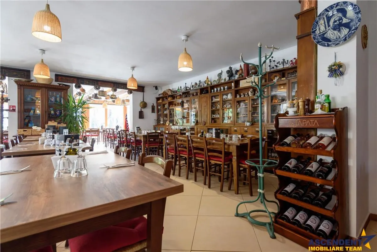 Langa Castelul Bran: Pensiune + restaurant + transfer afacere activa - foto 16
