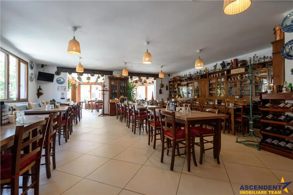 Langa Castelul Bran: Pensiune + restaurant + transfer afacere activa - foto 19