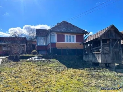 Tur 3D! Casa traditionala+ domeniu de 4.300 mp,livada,anexe:refugiu apreciabil Craiesti, la 28 km de Targu Mures. - foto 11