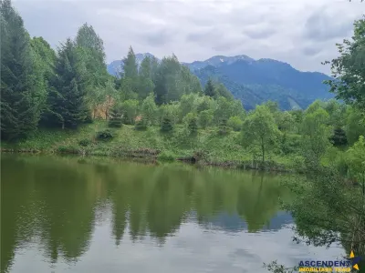 Refugiu idilic cu oglinda de apa, panorama montana, Glajerie/Rasnov, ideal mini resort - foto 20