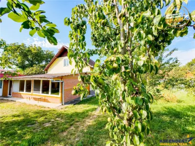 FILM!Areal apreciabil,casa+domeniu de 3.500mp,Sancraiu,vecin Sfantu Gheorghe si de Brasov - foto 14